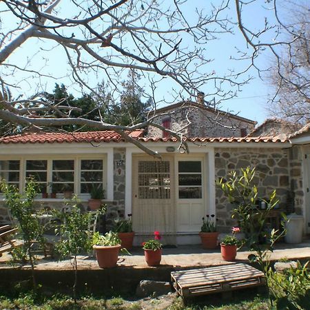 Arcadia Eressos Hotel Ngoại thất bức ảnh